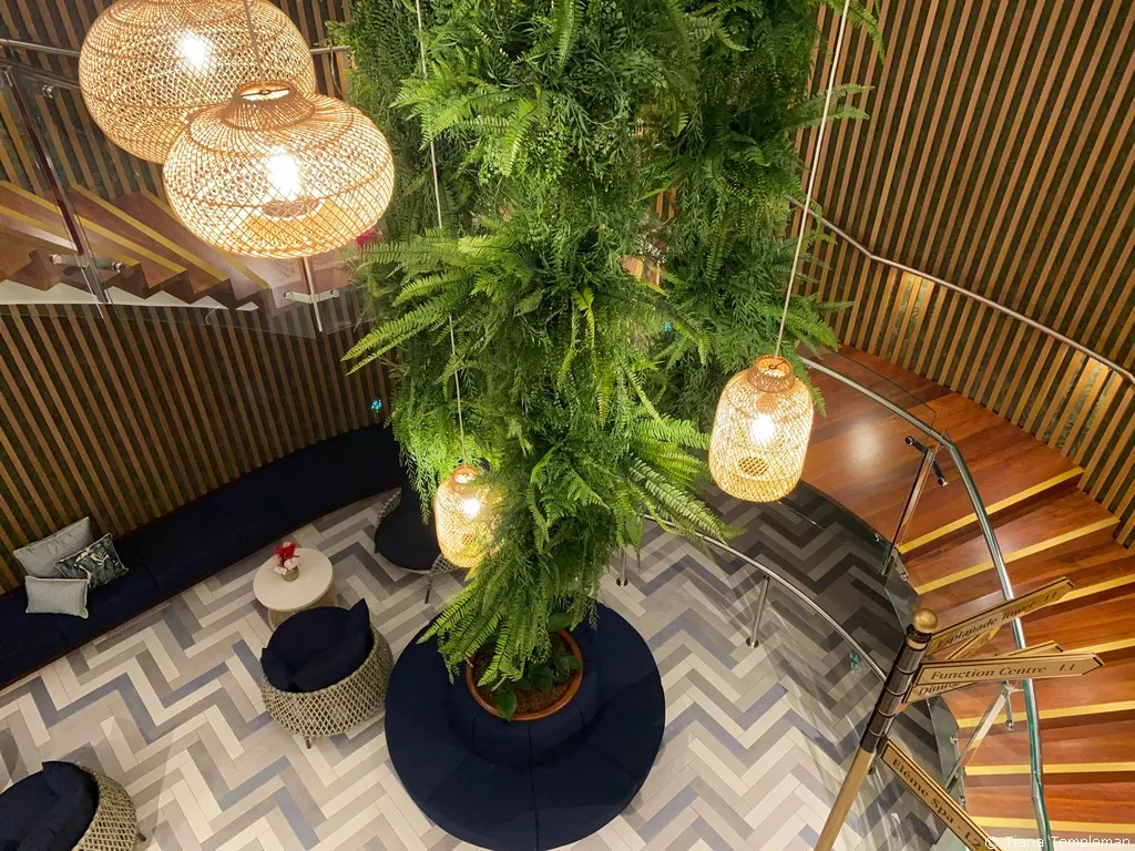 Woven pendant lights above a fern in a timber-lined atrium stairwell